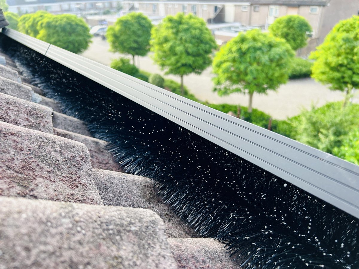 Vogelborstels Vogelborstels